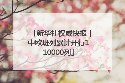 新华社权威快报｜中欧班列累计开行110000列