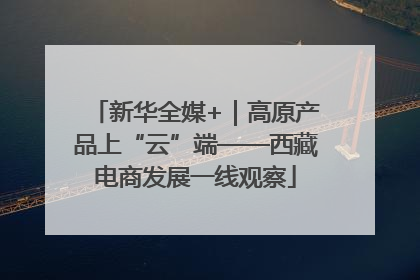 新华全媒+｜高原产品上“云”端——西藏电商发展一线观察