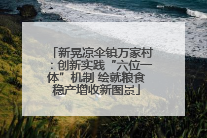 新晃凉伞镇万家村：创新实践“六位一体”机制 绘就粮食稳产增收新图景
