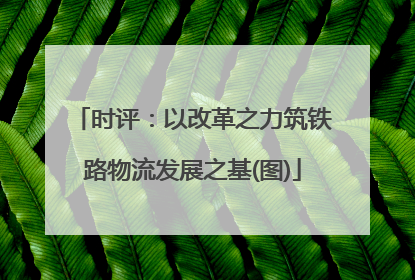 时评：以改革之力筑铁路物流发展之基(图)