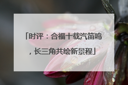 时评：合福十载汽笛鸣，长三角共绘新景程