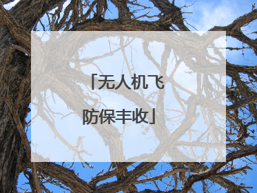 无人机飞防保丰收