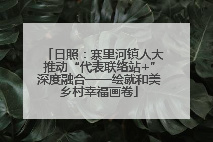 日照：寨里河镇人大推动“代表联络站+”深度融合——绘就和美乡村幸福画卷