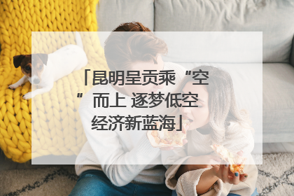 昆明呈贡乘“空”而上 逐梦低空经济新蓝海