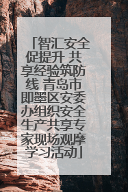 智汇安全促提升 共享经验筑防线 青岛市即墨区安委办组织安全生产共享专家现场观摩学习活动