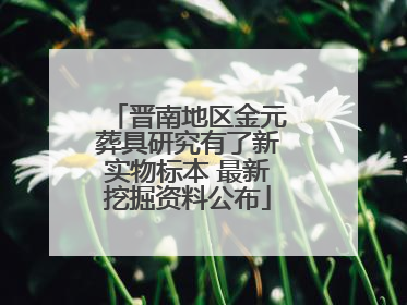 晋南地区金元葬具研究有了新实物标本 最新挖掘资料公布