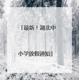 最新！湖北中小学放假通知