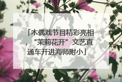 木偶戏节目精彩亮相，“茉莉花开”文艺直通车开进海师附小