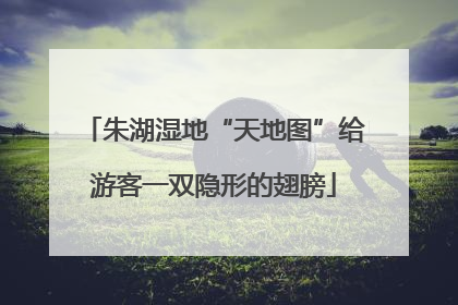 朱湖湿地“天地图”给游客一双隐形的翅膀