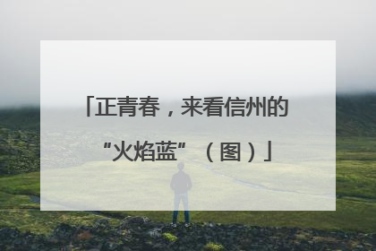正青春，来看信州的“火焰蓝”（图）