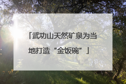武功山天然矿泉为当地打造“金饭碗”
