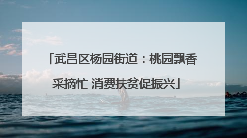 武昌区杨园街道：桃园飘香采摘忙 消费扶贫促振兴
