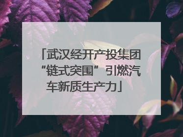 武汉经开产投集团“链式突围”引燃汽车新质生产力