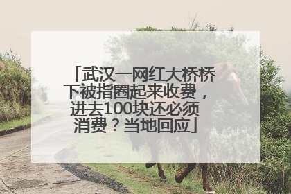 武汉一网红大桥桥下被指圈起来收费，进去100块还必须消费？当地回应
