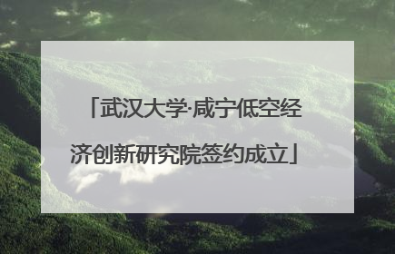 武汉大学·咸宁低空经济创新研究院签约成立