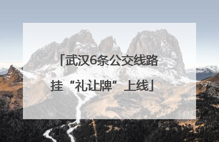 武汉6条公交线路挂“礼让牌”上线