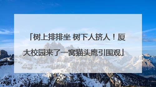 树上排排坐 树下人挤人！厦大校园来了一窝猫头鹰引围观