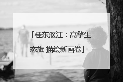 桂东沤江：高擎生态旗 描绘新画卷