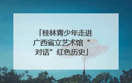 桂林青少年走进广西省立艺术馆“对话”红色历史