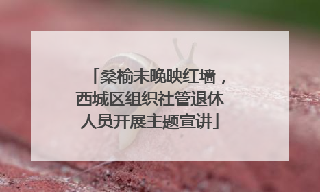 桑榆未晚映红墙，西城区组织社管退休人员开展主题宣讲