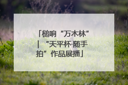 槌响“万木林”｜“天平杯·随手拍”作品展播
