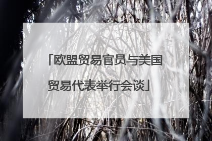 欧盟贸易官员与美国贸易代表举行会谈