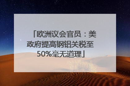 欧洲议会官员：美政府提高钢铝关税至50%毫无道理