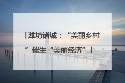 潍坊诸城：“美丽乡村”催生“美丽经济”