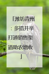 潍坊青州：多措并举打通销售渠道助农增收