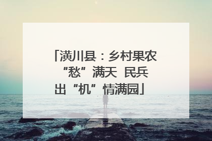 潢川县：乡村果农“愁”满天  民兵出“机”情满园