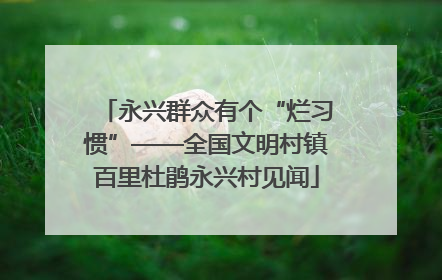永兴群众有个“烂习惯”——全国文明村镇百里杜鹃永兴村见闻