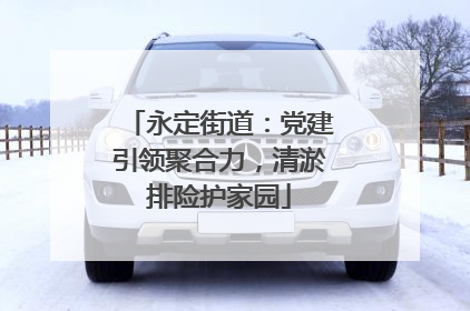 永定街道：党建引领聚合力，清淤排险护家园