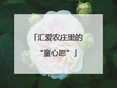 汇爱农庄里的“童心愿”
