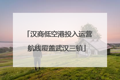 汉商低空港投入运营 航线覆盖武汉三镇
