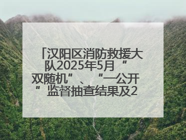 汉阳区消防救援大队2025年5月“双随机”、“一公开”监督抽查结果及2025年6月监督抽查任务公示