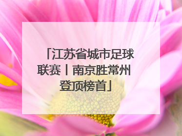 江苏省城市足球联赛丨南京胜常州 登顶榜首
