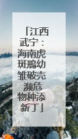 江西武宁：海南虎斑鳽幼雏破壳 濒危物种添新丁
