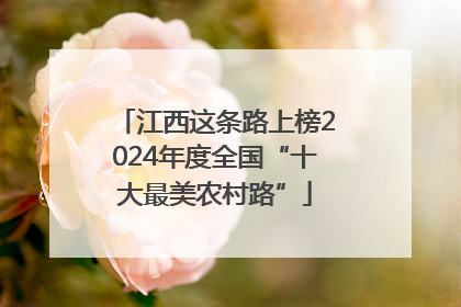 江西这条路上榜2024年度全国“十大最美农村路”