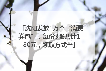 沈阳发放1万个“消费券包”，每份3张共计180元，领取方式→
