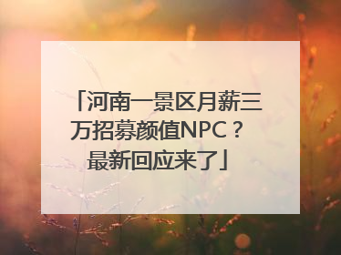 河南一景区月薪三万招募颜值NPC？最新回应来了