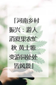 河南乡村振兴：游人消夏果农忙秋 黄土塬变游园处处皆风景