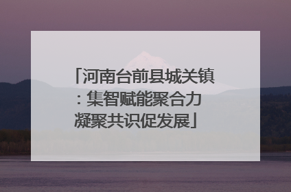 河南台前县城关镇：集智赋能聚合力 凝聚共识促发展