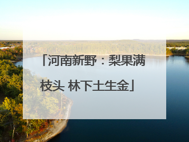 河南新野：梨果满枝头 林下土生金