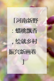 河南新野：蟠桃飘香，绘就乡村振兴新画卷
