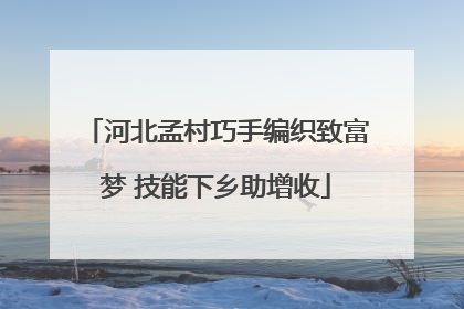 河北孟村巧手编织致富梦 技能下乡助增收