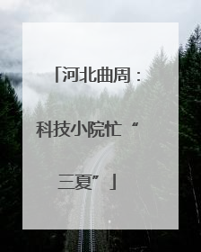 河北曲周：科技小院忙“三夏”