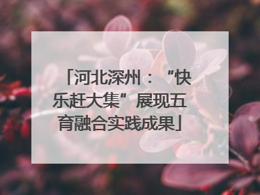 河北深州：“快乐赶大集”展现五育融合实践成果