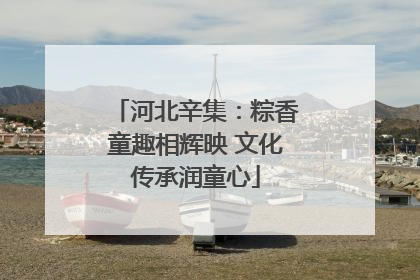 河北辛集：粽香童趣相辉映 文化传承润童心