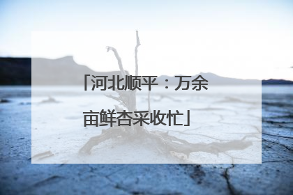 河北顺平：万余亩鲜杏采收忙
