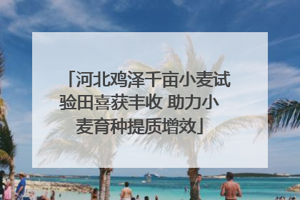 河北鸡泽千亩小麦试验田喜获丰收 助力小麦育种提质增效